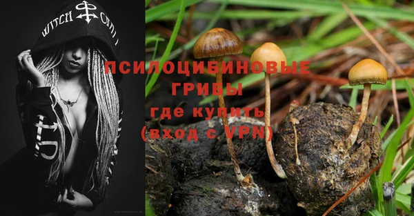мескалин Осташков