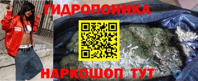 ECSTASY Гатчина
