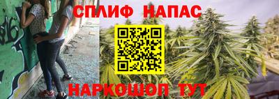 соль ск Бийск