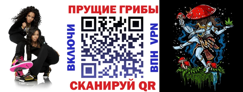 Галлюциногенные грибы мицелий  Петровск 