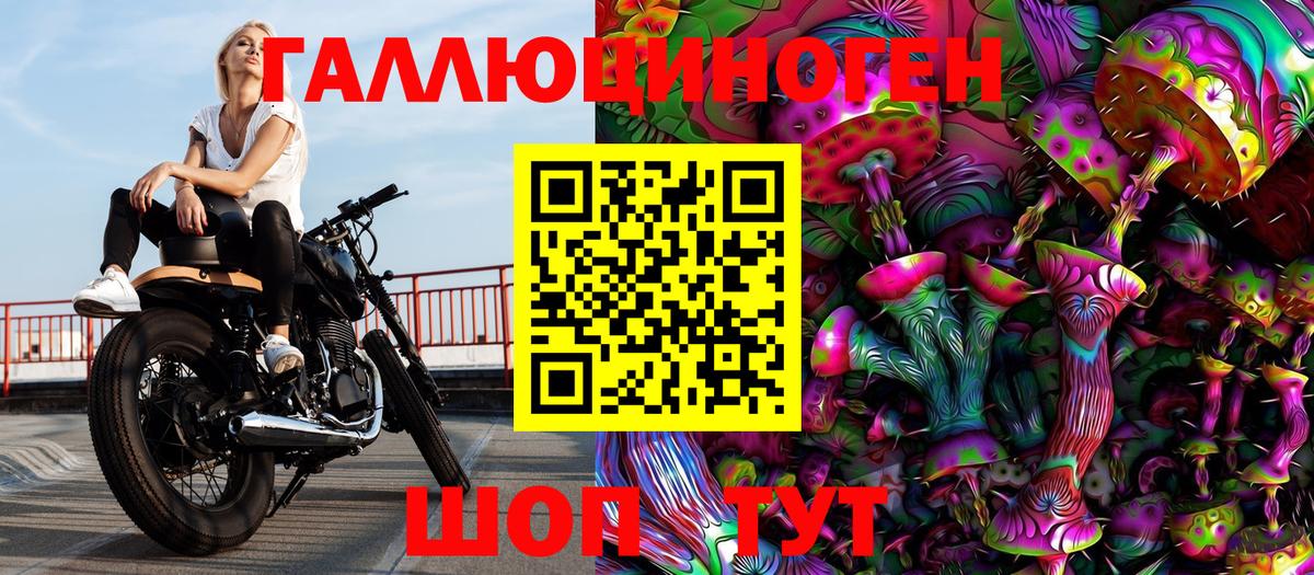 Галлюциногенные грибы Psilocybine cubensis Петровск