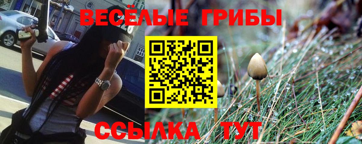 Псилоцибиновые грибы прущие грибы  наркошоп  Петровск 