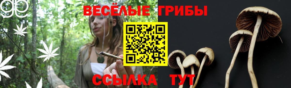Псилоцибиновые грибы ЛСД  как найти закладки  Галлюциногенные грибы Cubensis  Петровск  Вход с VPN 
